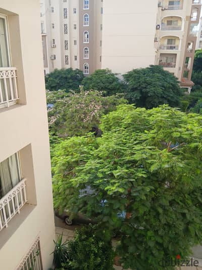مدينتي B1