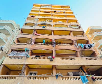 شقه للبيع بالإسكندرية العجمي شطي النخيل ٦اكتوبر الكيلو٢١ اسكندرية