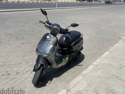 مارينو كلاسيك 2021