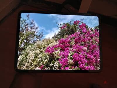 Ipad Pro M5 11Inch 256 wifi