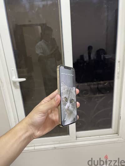 آبل - آيفون 12 برو ماكس