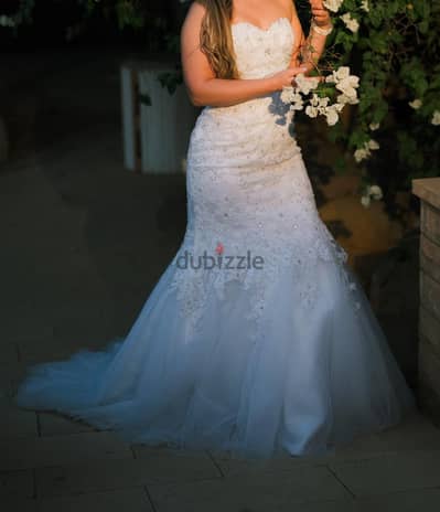 Stunning Imported Mermaid Wedding Dress – Bought from Russia