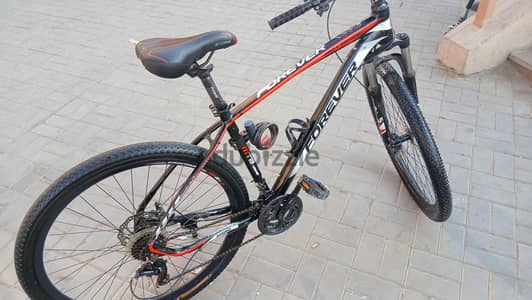 forever bicycle