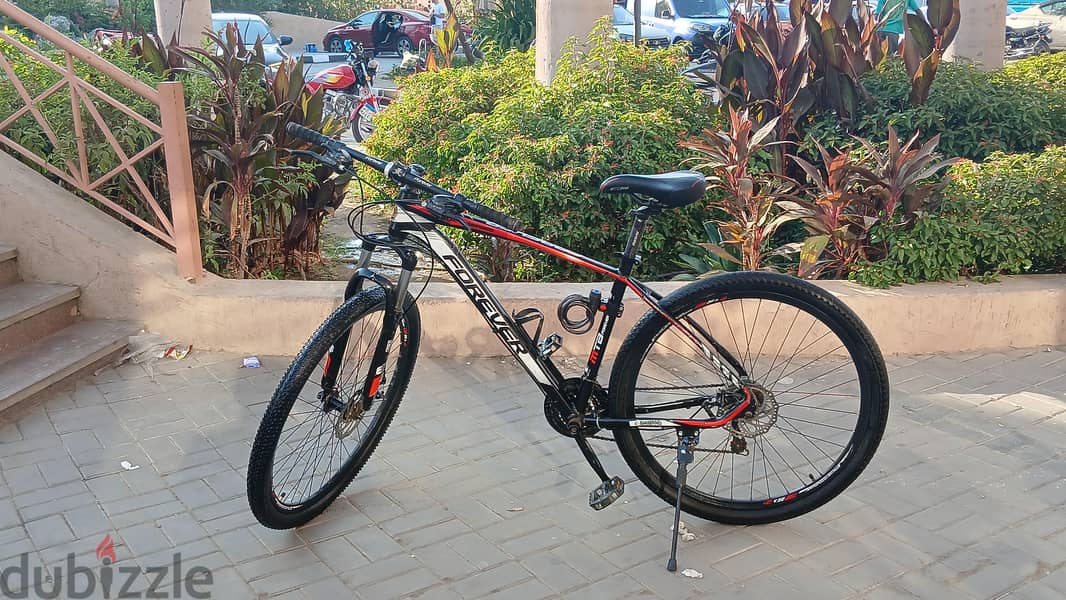 forever bicycle 2
