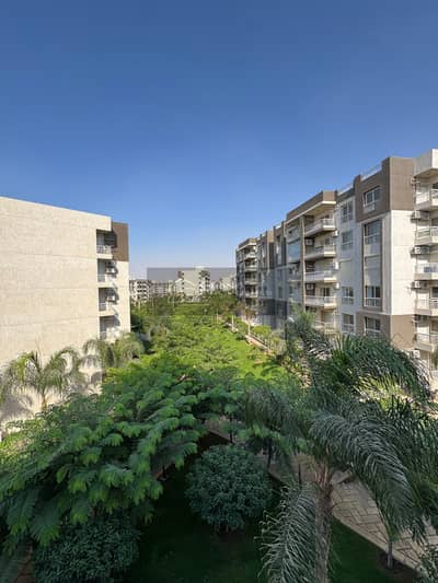 For rent in my city, an apartment under new law with the best view