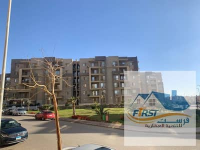 دار مصر القرنفل