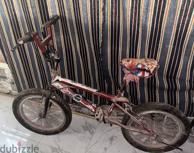عجلهBMX SAFARI للبيع