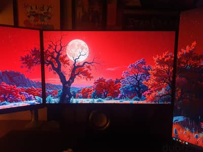 Asus ProArt Display (Monitor)