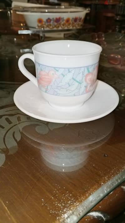 طقم مجات arcopal france