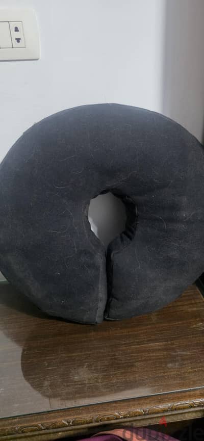 dog cone