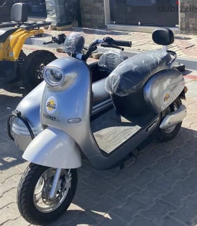 vigorey side car scooter