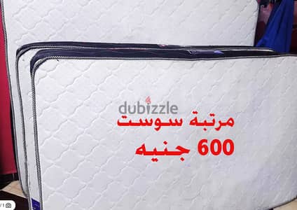 مرتبة سوست عين شمس