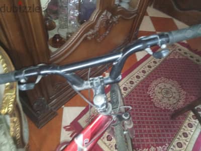 الاسكندريه