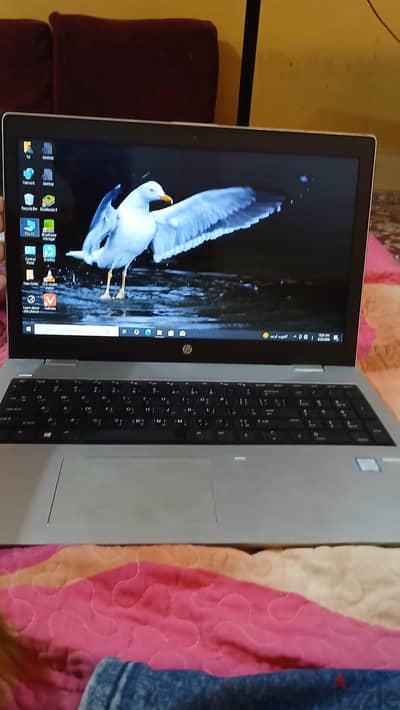لابتوب hp pro book