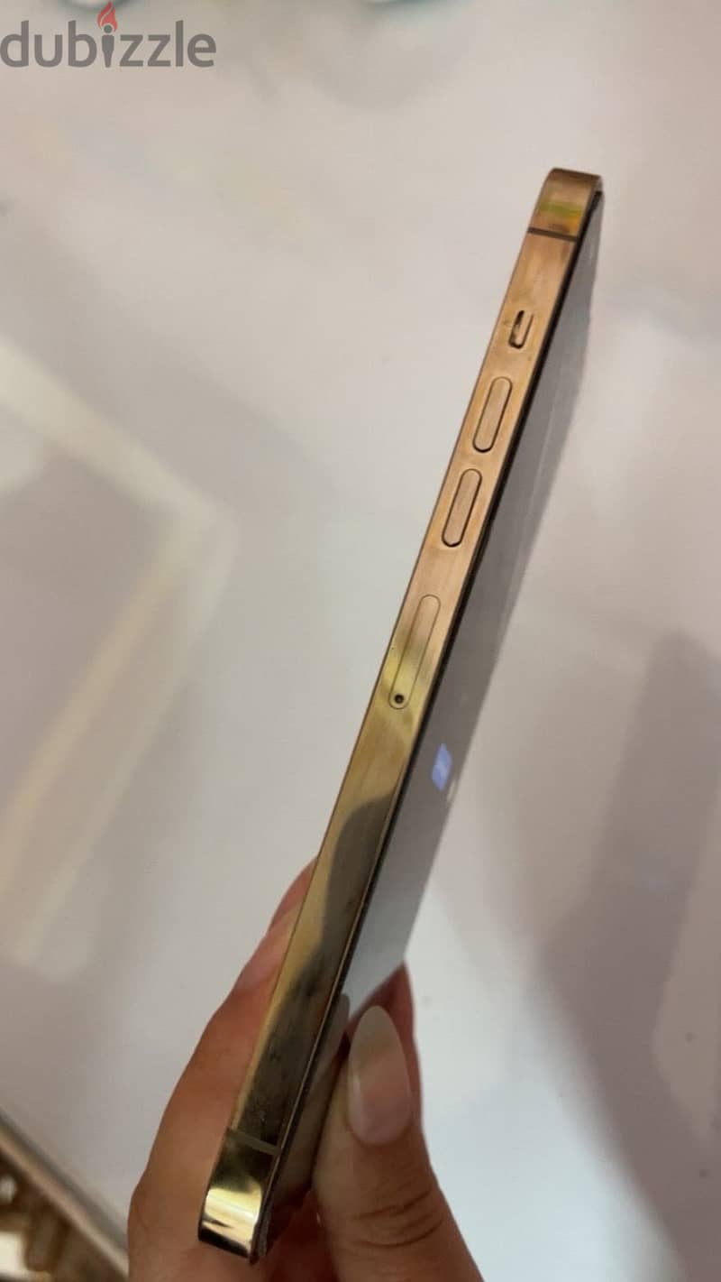 Apple - iPhone 13 Pro Max 1