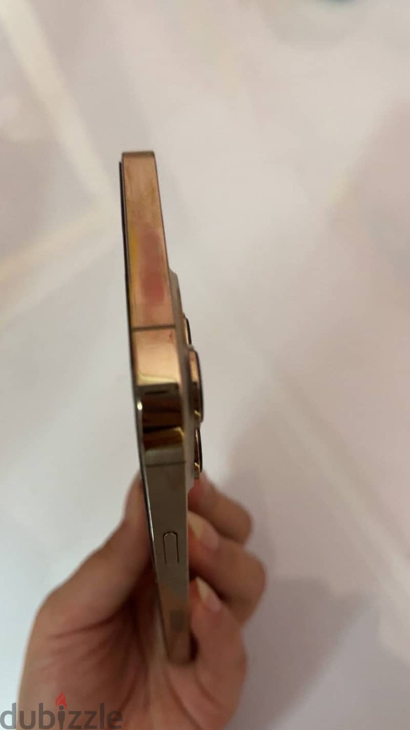 Apple - iPhone 13 Pro Max 2