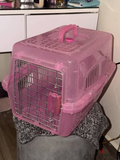 Cat box بوكس للقطط جديد