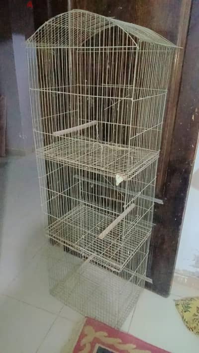 قفص عصافير كوكتيل