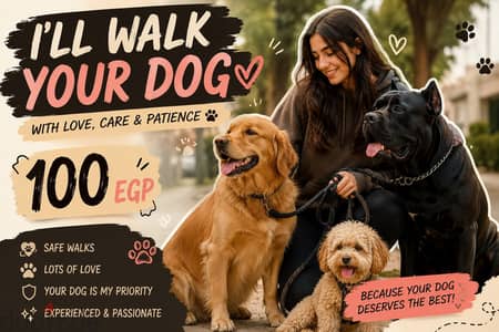 walking dogs