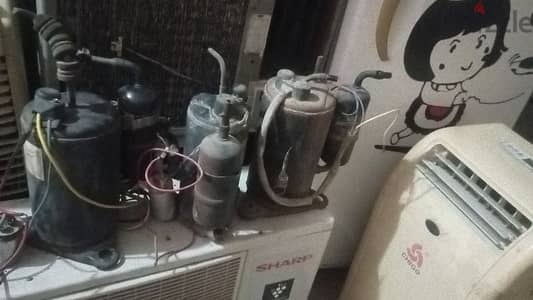 الزقازيق الشرقيه
