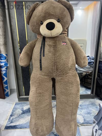 Huge bear
