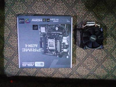 ASUS PRIME A620M-K + Ryzen 5 8400F + Antec CPU Cooler بضمان وفاتورة