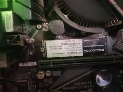 ssd 256 g m2