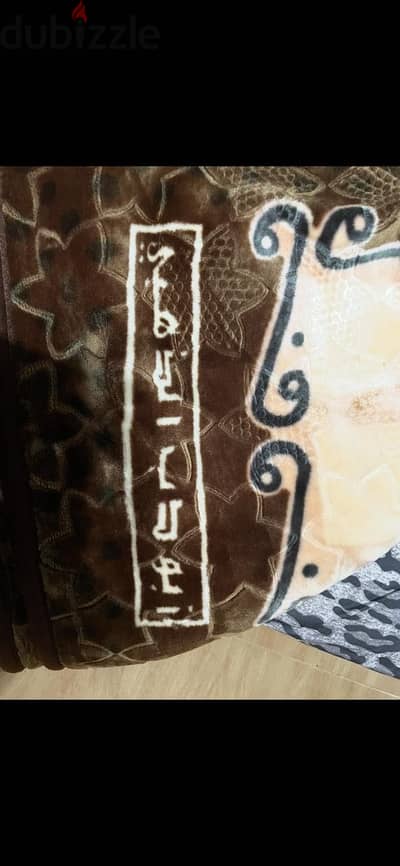 بطانية الدب الذهبي