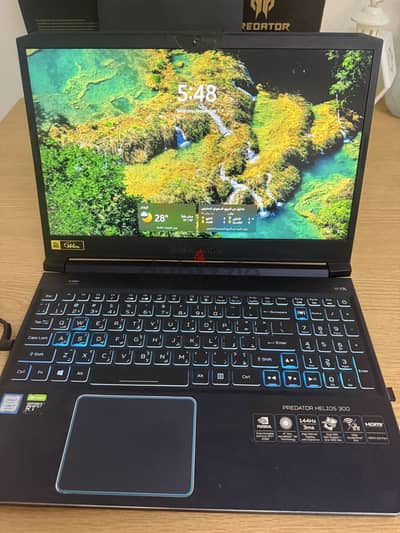 Acer predator
