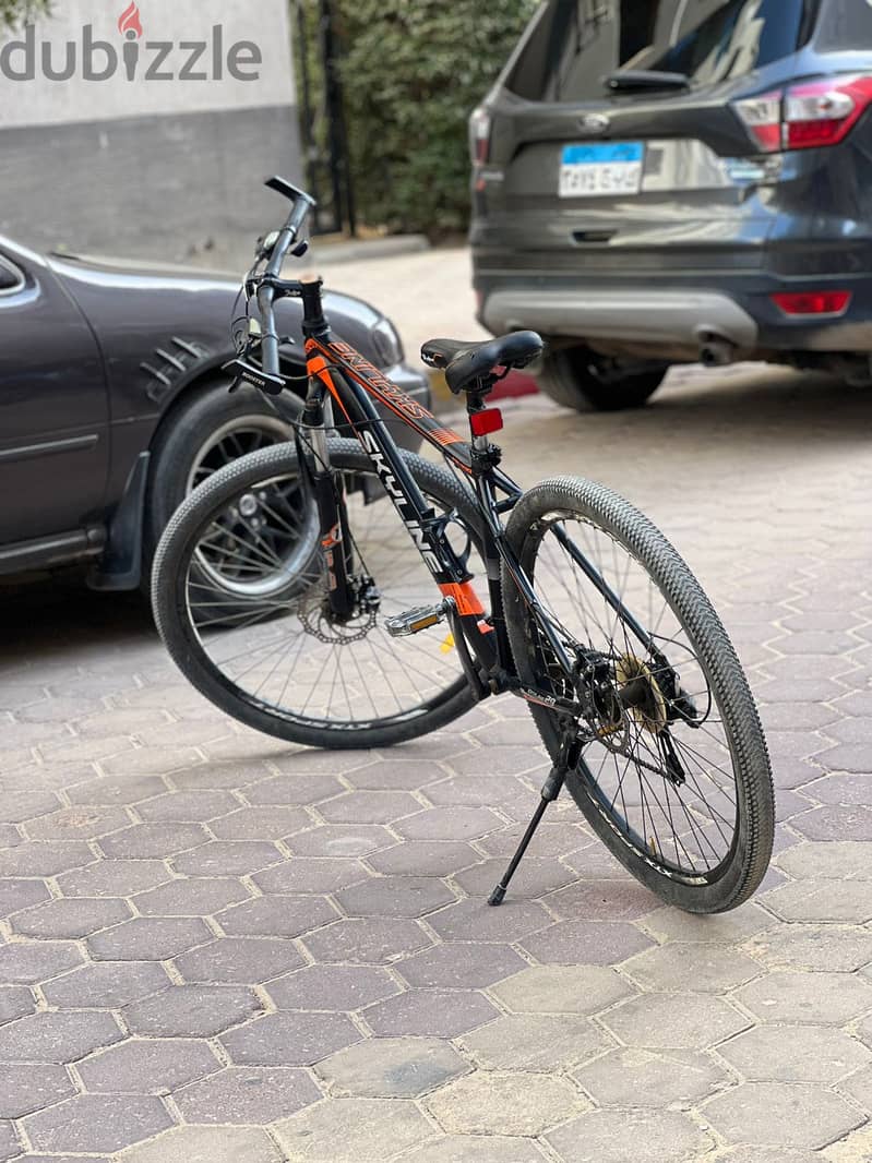 Skyline mountain bike 1