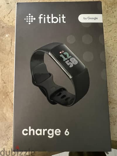 Google Fitbit charge 6