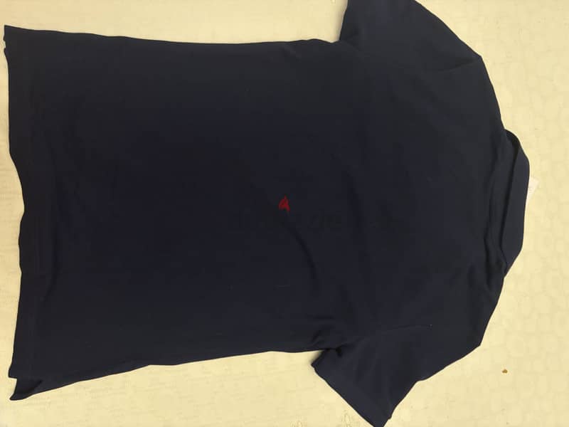 Lacoste polo brand new 1