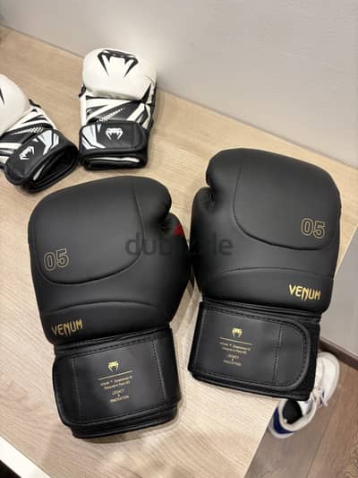 Venum Boxing Gloves