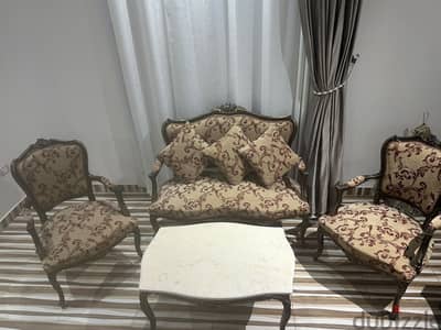 Elegant Classic Salon Furniture Set