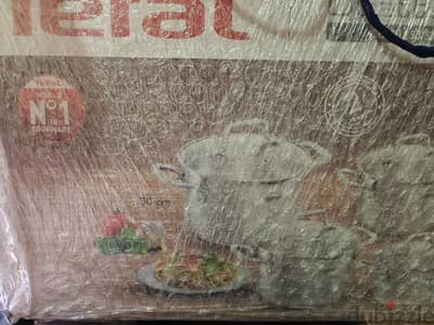 Tefal Duetto Stewpot