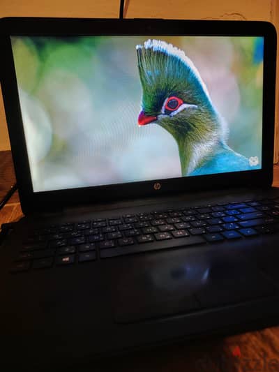 لابتوب  HP Notebook 15  للدراسة والأعمال المكتبية