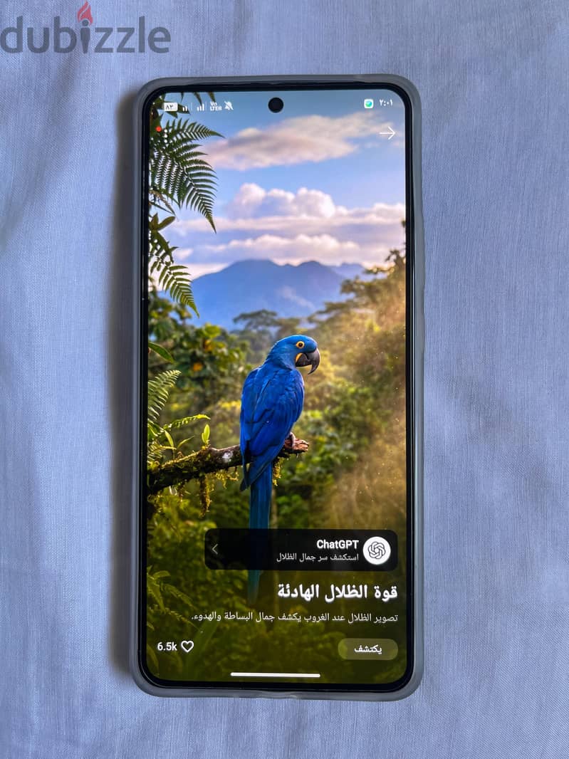 اوبو رينو 11 اف 3