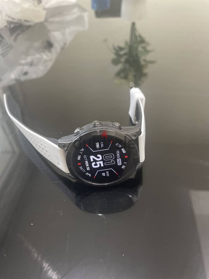 Garmin epic Gen2 13