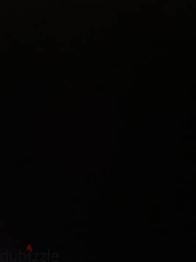 محتاج كلب للتبني بسعر معقول