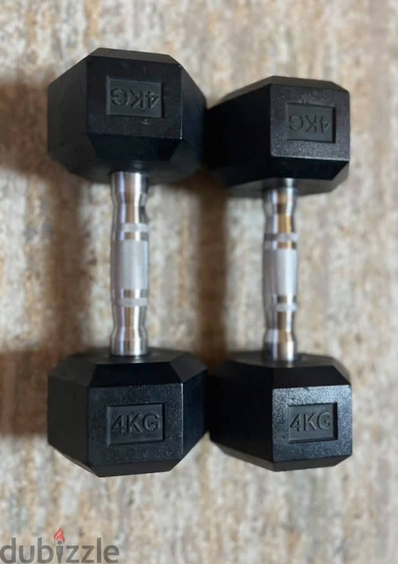 (Rubber Hex Dumbbells) 1