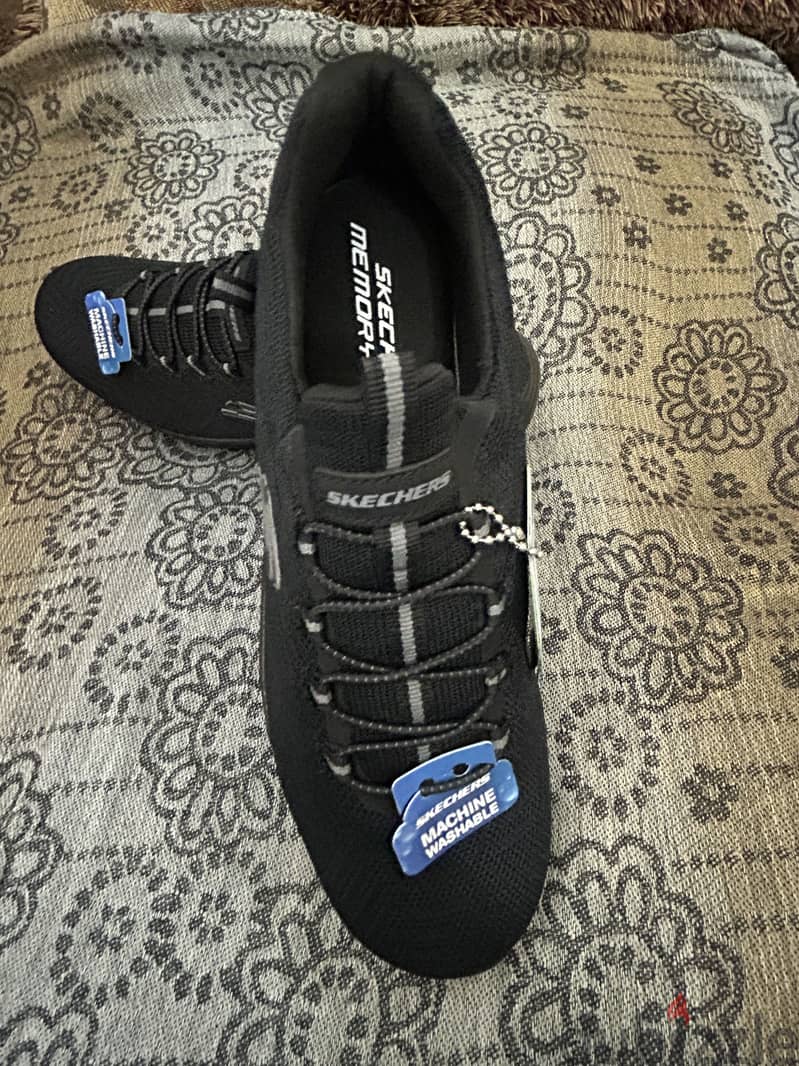 Sketcher 1