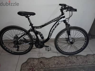 Leken 29 “