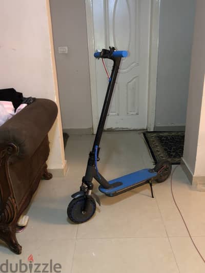 Electric scooter winner sky