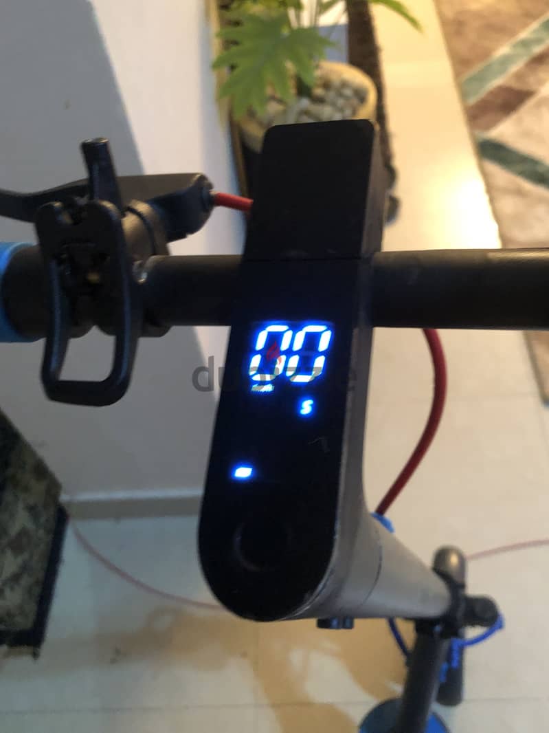 Electric scooter winner sky 1