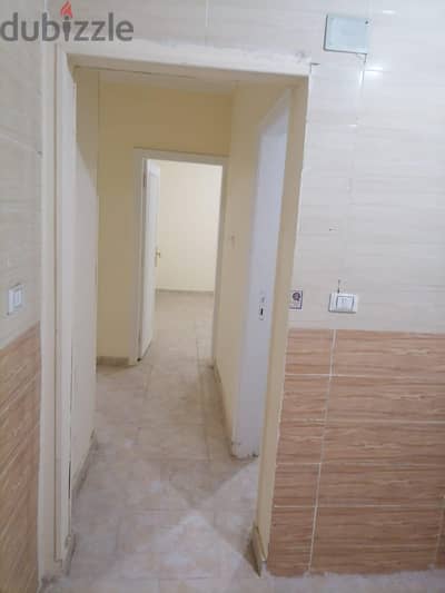 شقة للإيجار