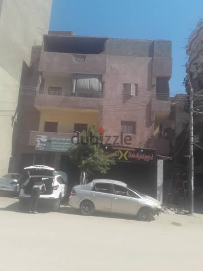 علياء سليمان