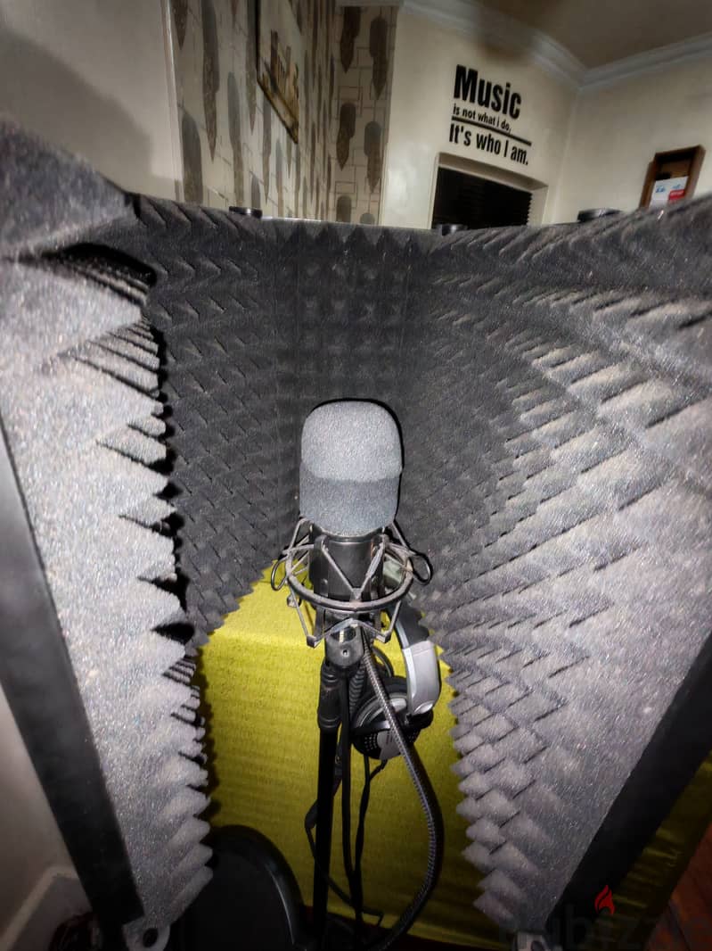 AT 2020 MIC XLR + Isolation Shield + Shock Mount 7