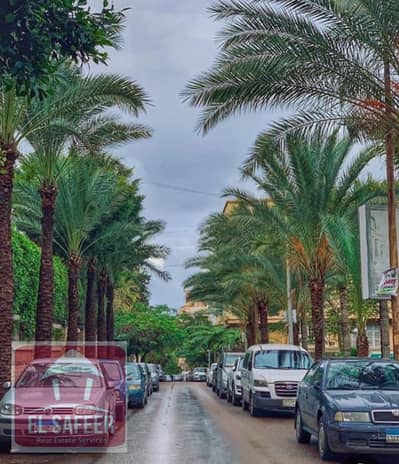 For rent 50m in Kafr Abdu on the main street