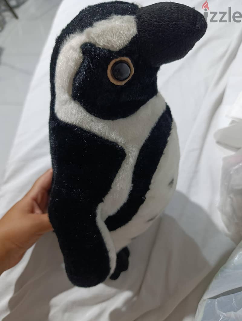  Cute Penguin Toy  1