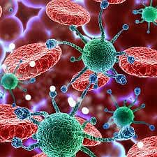 مدر س بيولوجي /Biology Teacher/مناهج امريكيه وبريطانيه/Act two 2